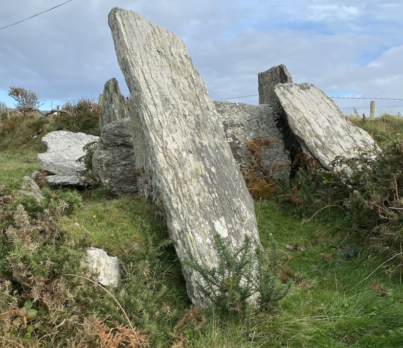 Ardaragh Wedge Tomb | Helen Riddell